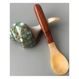 Cuillère artisanale en nacre avec manche en coquillage, écologique, non toxique, de luxe, vintage, décorative, pour servir des desserts, coffret cadeau - Product Image 4