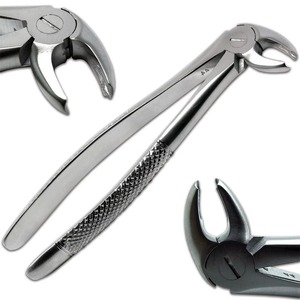 Ensemble de forceps d'extraction dentaire, instruments chirurgicaux argentés, classe I, modèle américain, acier inoxydable de haute qualité - Product Image 6