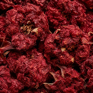 High quality pomegranate dry crafts natural decor projects and herbal preparations Packing Oem <b>flowers</b> perfect for floral - Product Image 6