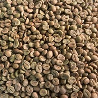 Café Vert Robusta du Vietnam, Café Instantané Pur du Vietnam, Grains de Café de Taille 20, Export en Vrac, Fournisseur de Café à Saveur Forte