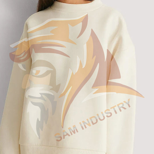 Sweat-shirt surdimensionné personnalisé 100 % coton uni pour homme, pull molletonné streetwear personnalisé, sweats-shirts surdimensionnés en coton pour femme - Product Image 5