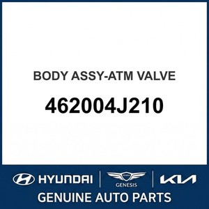 Repuestos de Transmisión Manual Nuevos para Stinger 462004J210 - Product Image 1