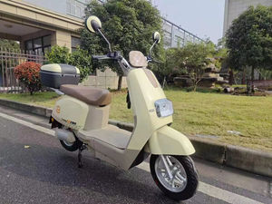 Scooter électrique pas cher pour adultes, 800 watts, moto électrique pour étudiants, cyclomoteur électrique, OEM, ODM, industriel, DIY - Product Image 4