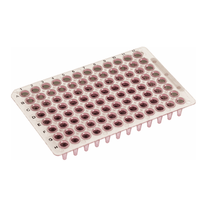 Plaque PCR SIMPORT PP à profil bas 96 puits 0,1 mL grille noire pour thermocyclateurs - Product Image 3