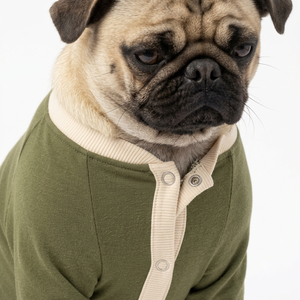 Combinaison pour chien en coton vert uni, confortable et élégante, idéale pour les pugs, toutes saisons - Product Image 6