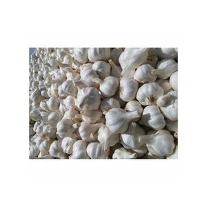 Ajo Deshidratado en Hojuelas, 100% Puro, de Buena Calidad, Precio Accesible, Superventas - Product Image 2