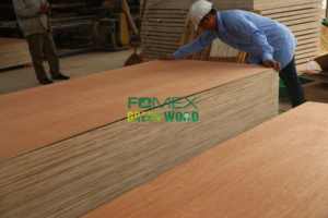 Contreplaqué commercial en eucalyptus de 18 mm, âme en bois dur, film mélaminé, placage, design moderne, utilisation pour meubles, fabrication au Vietnam - Product Image 3