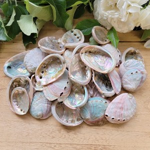 Seashell for home decor sage burning <b>abalone</b> <b>shell</b> large mini sea <b>shells</b> wholesale manufacturer - Product Image 1