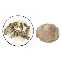 Poudre de champignons Maitake broyée pour boisson santé