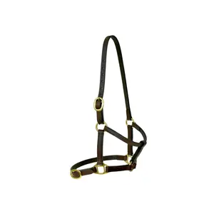 Latest design Horse Halter leather hater comfortable Genuine Leather Padded Horse Halter at best price