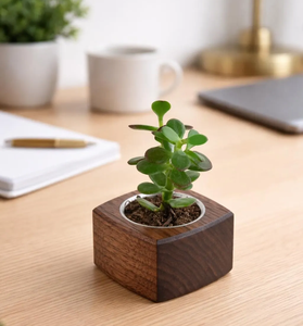 Jardinière en bois personnalisée, meilleure qualité, nouveaux articles en bois artisanaux, pots de fleurs d'intérieur au prix le plus bas - Product Image 4