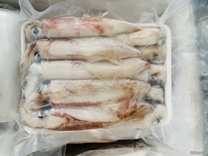 Tentacules de calmar surgelés IQF - Produits de la mer frais surgelés pour les grossistes - Product Image 1