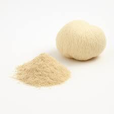 Poudre de champignon Crinière de lion en gros, extrait biologique d'Hericium Erinaceus en poudre pour compléments alimentaires et aliments fonctionnels - Product Image 4