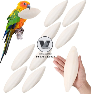 Hueso de Sepia Natural de 6cm o más, el Más Vendido, para Aves, Loros, Juguete Masticable para Animales, Venta al por Mayor - Product Image 4