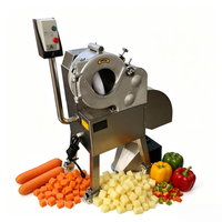 Automatische elektrische aardappel-, wortel-, radijs- en komkommer-snijmachine voor voedingsmiddelenfabrieken
