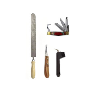 Kit de Herramientas de Herrador de Acero Inoxidable de Primera Calidad al por Mayor para el Cuidado de Pezuñas de Caballos y Perros con Instrumentos Quirúrgicos - Product Image 3