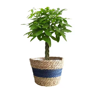 Wholesale Jute <b>Tree</b> <b>Pot</b> Supplier – Eco Friendly Natural Fiber Planter Cover with Custom Size and Design Options - Product Image 6