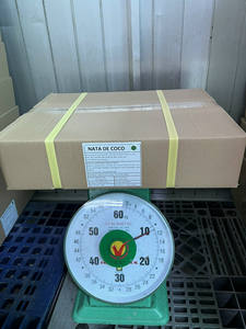 HOT HOT 2026 | Nata de coco premium de Vietnam – Gelatina de coco lista para consumir – Exportación a granel para la industria alimentaria - Product Image 5