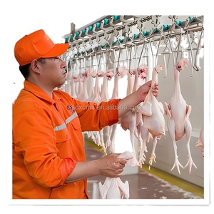 Lignes d'abattage de volailles à haute efficacité, <span class=keywords><strong>prix</strong></span> de gros, produits de haute qualité pour l'utilisation dans les abattoirs kirghizes de 2000 oiseaux par heure - Product Image 3