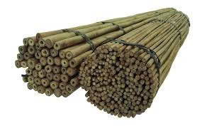 Tonkin Wholesale Bamboo Raw Materials <b>Garden</b> Plant Support Bamboo Stakes <b>Poles</b> Hand Straight 7 Year Shelf Life - Product Image 6
