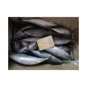 Poisson bonite congelé en gros, prix réduit, qualité supérieure, produits de la mer - Product Image 4