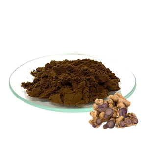 Poudre d'extrait naturel de Kaempferia Parviflora – Gingembre noir déshydraté de qualité supérieure pour applications nutraceutiques, alimentaires et fonctionnelles à base de plantes - Product Image 1