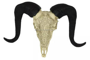 Crâne de buffle avec cornes, fait main, imperméable, décoration d'intérieur animale, représentation sacrée de l'esprit de la nature sauvage des peuples indigènes - Product Image 5