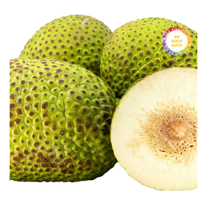 ชิ้นขนุนแช่แข็งพรีเมียม พื้นผิวเรียบเนียนและรูปลักษณ์เป็นธรรมชาติ - Product Image 2