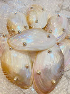 Glam Shell Spoon Mother Of Pearl <b>Mirror</b> Polish Durable Eco Friendly Wholesale Bulk Supply - Product Image 5