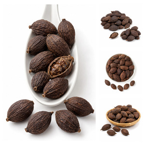 Special Offer Top Selling Vietnam Manufacturer Supply International Standard Black Cardamom Customized Packaging - Product Image 4