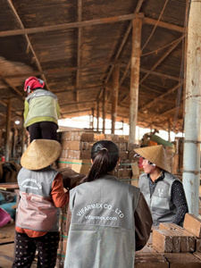 Pellets de Fibra de Coco Premium del Fabricante para Retención de Humedad y Crecimiento Rápido de Raíces, Envío Rápido, Mejor Precio - Product Image 2