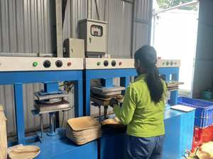 PLATOS Desechables a Prueba de Fugas, MUY VENDIDOS |   Platos Resistentes de Hoja de Palma Natural para Comidas con Salsas y Buffets - Product Image 6