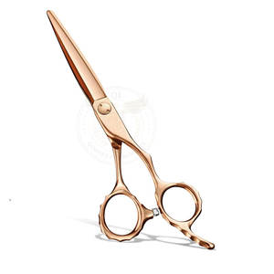 Ciseaux de coiffure professionnels en acier inoxydable de qualité supérieure, outil de précision haute performance pour barbier - Product Image 1