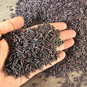 Riz Glacé Noir Collant Arroz Reis Riz |   Emballage 1-50 kg |   Bon prix en usine (Joice) - Product Image 4