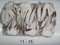 ปูทะเลแช่แข็งคุณภาพสูงจากเวียดนาม - Product Image 2