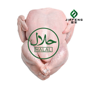 Pattes de poulet/pieds de poulet, poulet entier, parties de poulet - Poulet entier congelé halal provenant de - Product Image 4