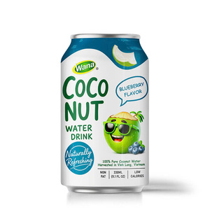 Boisson prête à boire NFC Eau de coco Purée saveur Myrtille 330ML Stérilisée Hydratation Naturelle Rafraîchissante Prix Usine OEM ODM - Product Image 1
