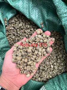 Grains de café vert Robusta de haute qualité, certifiés, de première qualité, équitablement commercialisés, propres, secs et transformés, Gia Lai Vietnam S18, sac de 60 kg - Product Image 3