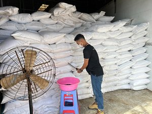 Hot cay tiêu đen Việt Nam Nhà máy-khô nguyên gia vị 500-550-600g/L liên hệ với + 84 944 500 504 - Product Image 6