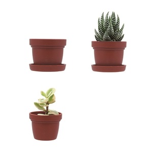 Mini-pots de fleurs pour plantes succulentes et cactus vivantes, 1 pouce, plastique PP, certification ISO9001, vente en gros - Product Image 1