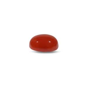 Natural Japanese Red Coral Beads 4.75 Carat Certified Wholesale Quality - Product Image 3