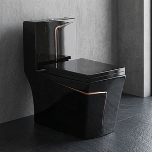 WC monobloc en céramique de luxe indien Vistaar, noir, pour usage commercial et résidentiel - Product Image 6