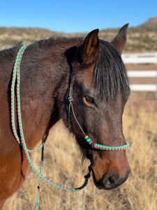 Cabestro de cuerda para caballo con logotipo personalizado, trenzado de 2 nudos, para exteriores, venta al por mayor - Product Image 2