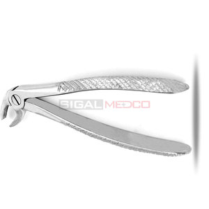 Premium Manual Extracting Forceps #38 English Pattern High Quality German Stainless Steel Dental Composite Filling Instruments - Product Image 4