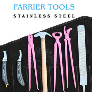 Kit de Herramientas para Herrador con Alicates para Pezuñas Recubiertos de Rosa, Clavillero, Extractor de Clavos, Martillo de Herrador, Lima de Raspado, Cuchilla para Pezuñas, Juego de Cuchillos y Estuche con Ruedas - Product Image 4