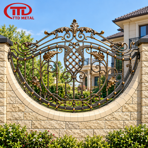 Cercas de Hierro Forjado Personalizadas con Recubrimiento de Polvo Negro para Piscinas Residenciales, Jardines Exteriores y Villas Elegantes - Product Image 1