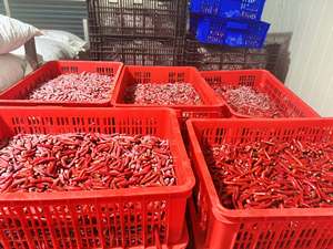 พริกแดงเผ็ดร้อนแช่แข็ง IQF คุณภาพพรีเมียม - Product Image 3