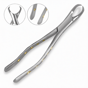 Pinzas de Extracción Dentales Americanas # 23 Palas de Extracción de Dientes de Acero Inoxidable con Mango de Pitón Hueco Dorado, Manuales, Certificadas CE - Product Image 2