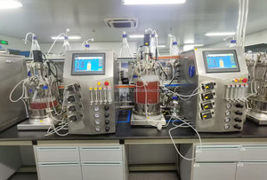 Biorreactor de vidrio 7L, biorreactor de vidrio diseñado para el cultivo controlado de células - Product Image 6