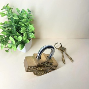 High Selling Brass <b>Padlock</b> Branded Design Customized Lock Anti Theft Solid Steel Small <b>Padlock</b> Cheap Lock for Safety Purpose - Product Image 4